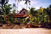 Coconut Laguna 
